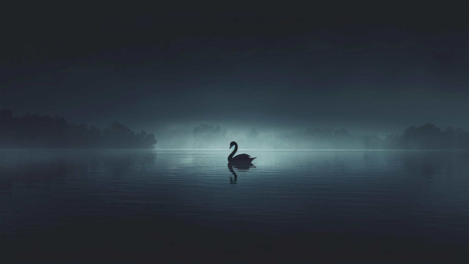 Minimalist dark scene of a black swan on a black lake, distinguished only by the reflection of its silhouette, reflective and serene