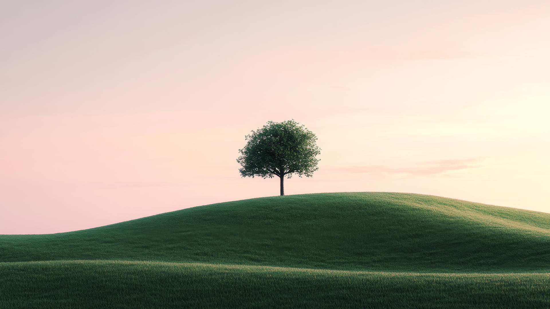 nature aesthetic wallpaper with lone tree on grassy hill under pastel sky