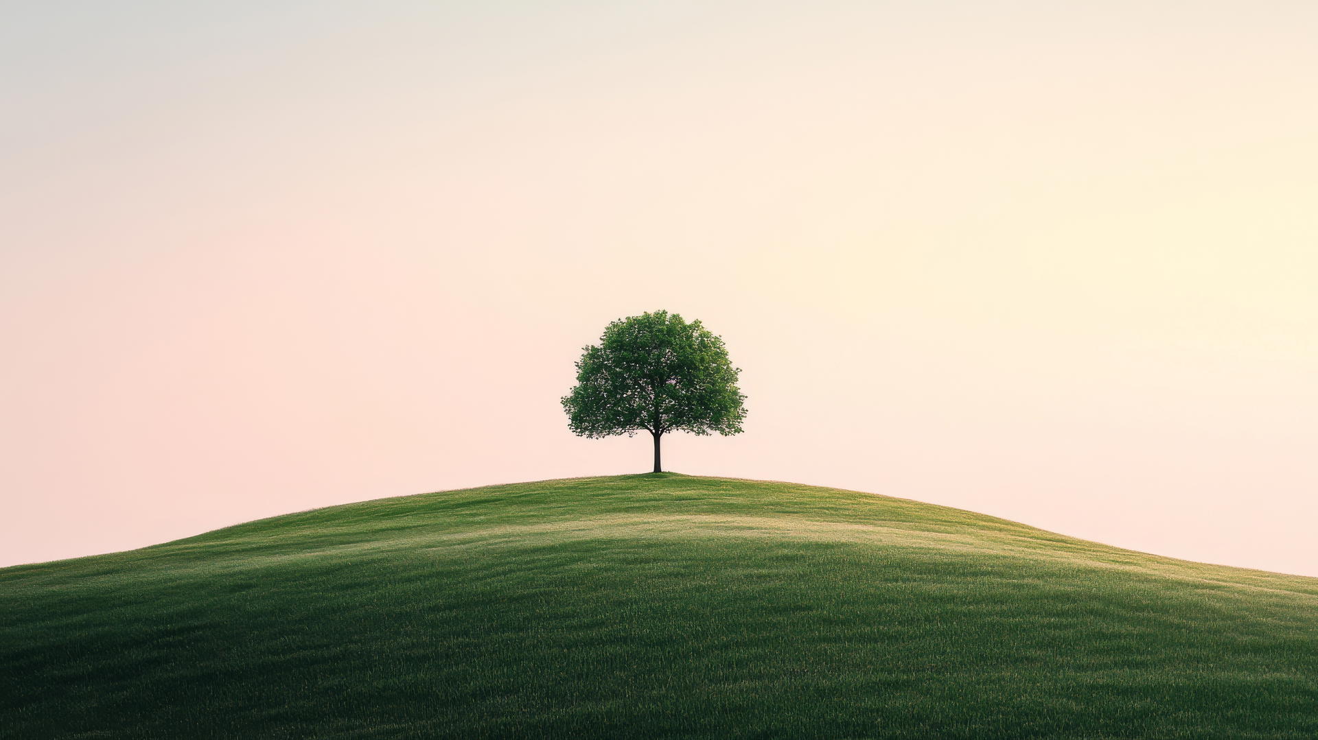nature aesthetic wallpaper with a lone tree on a grassy hill under a soft pastel sky