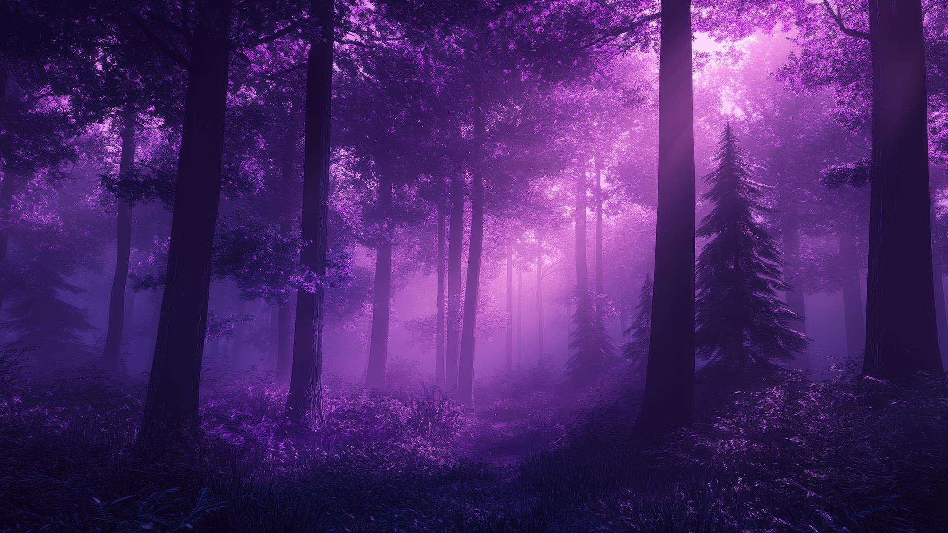 dark purple wallpaper with glowing mist in a forest