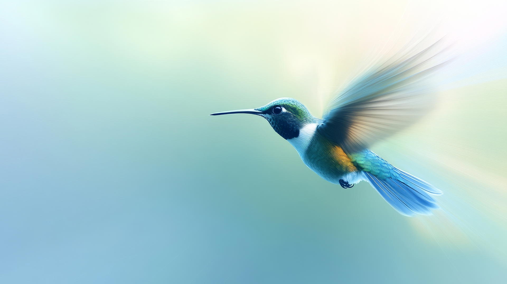 wallpaper blue with vibrant hummingbird in flight with blurred wings