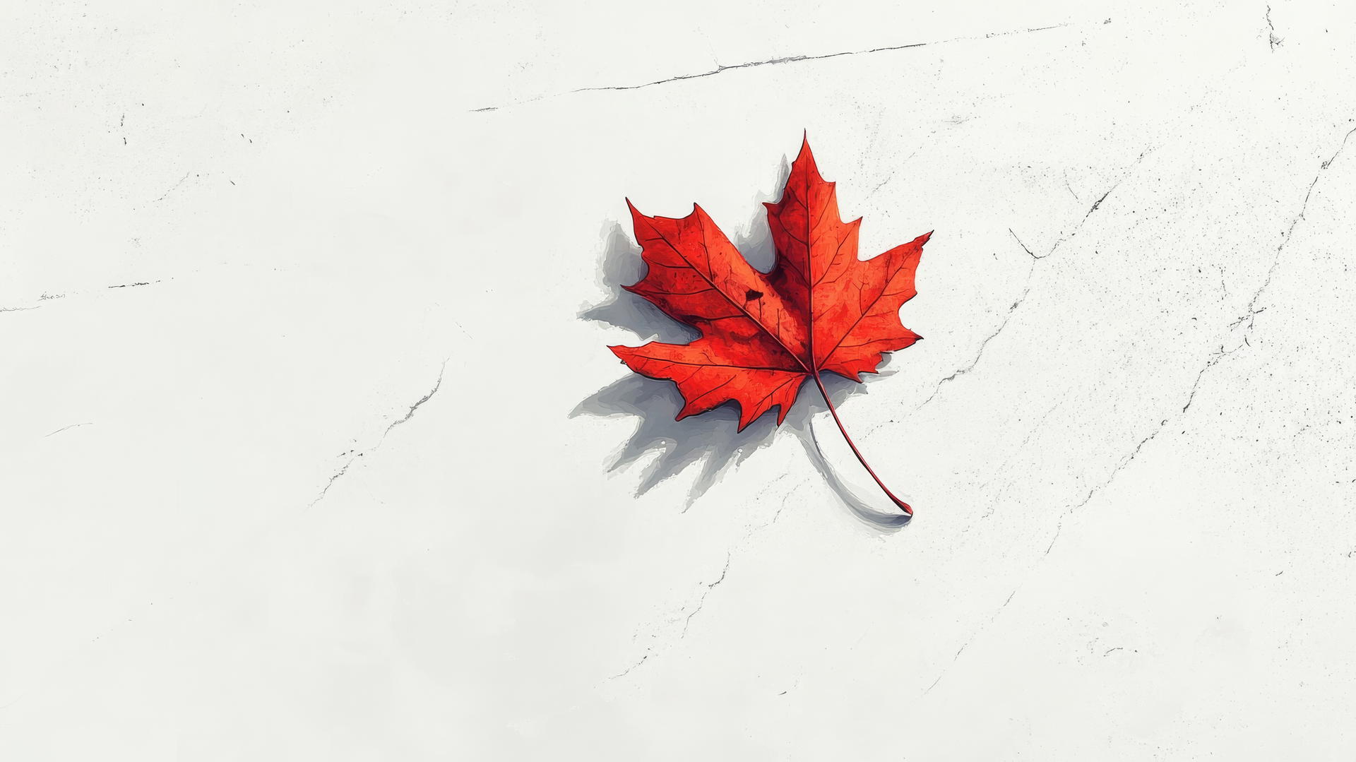 A thanksgiving wallpaper aesthetic with a minimalistic single fallen maple leaf on a white background.