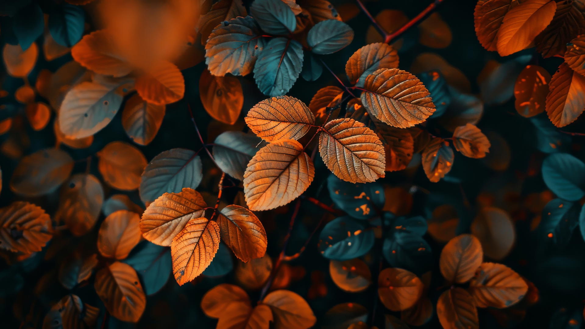 Aesthetic autumn scenery with vibrant fall colors
