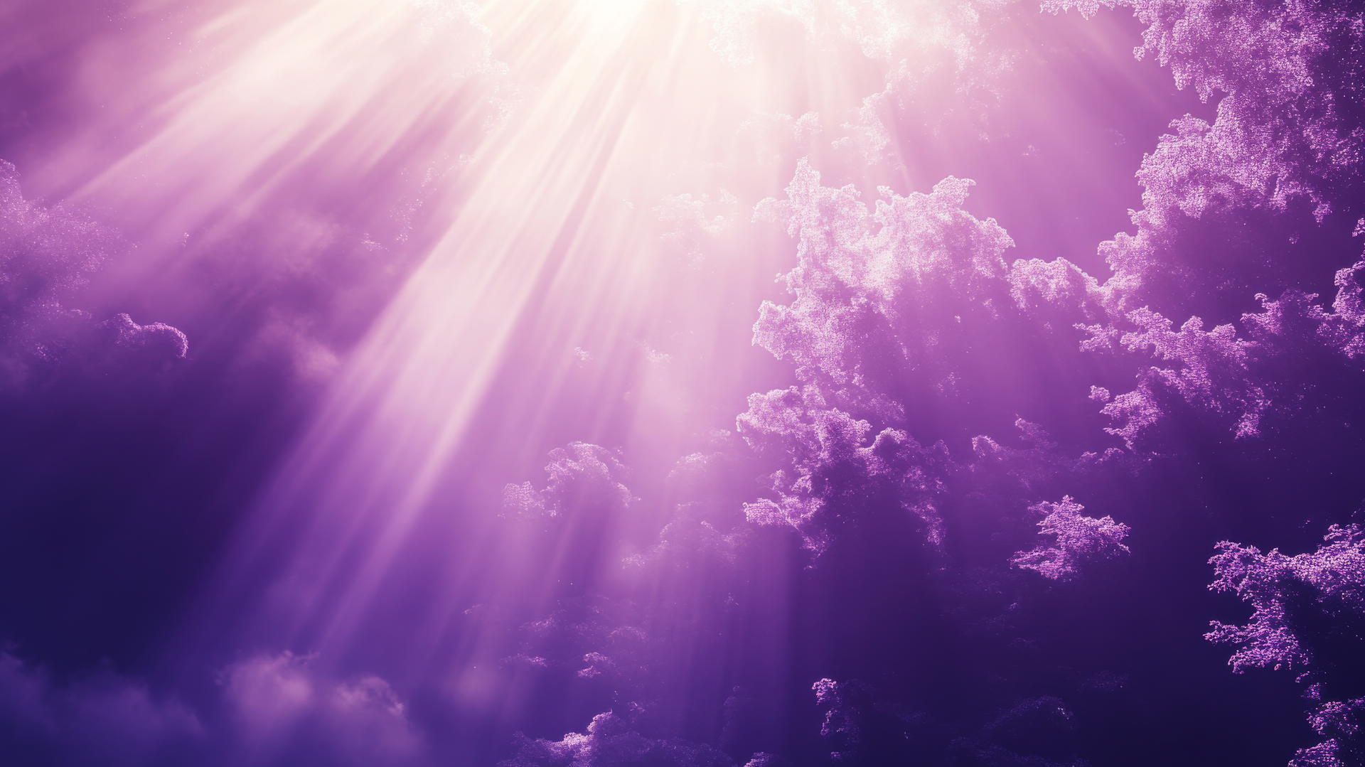 purple wallpaper 4k with ethereal purple mist and light rays