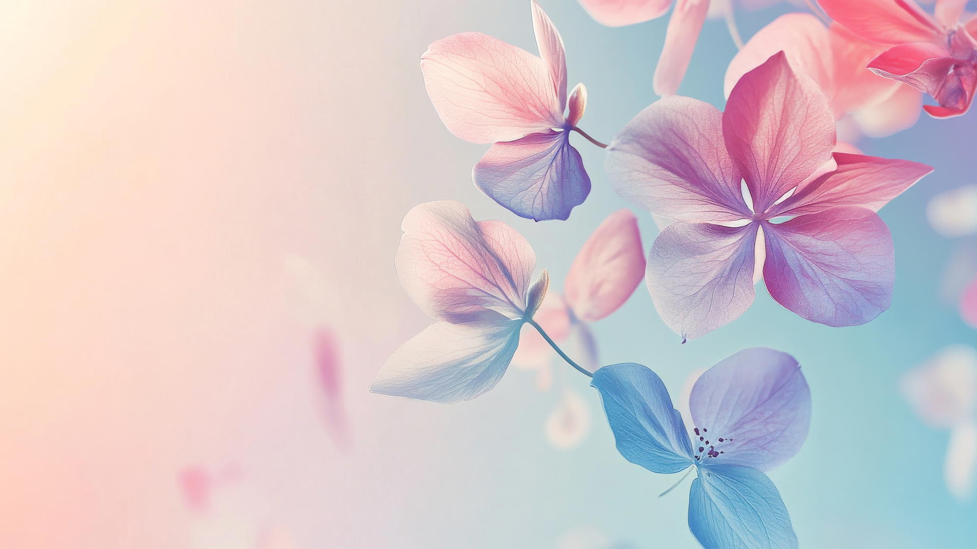 spring wallpaper with delicate pastel petals on a light gradient background