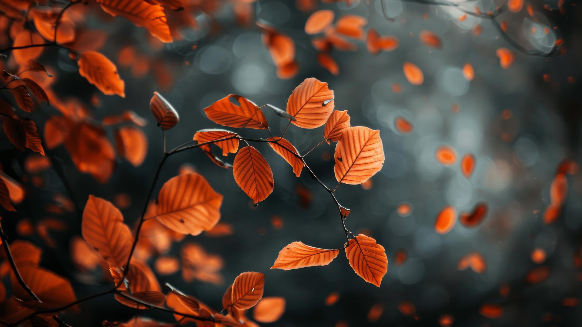 Aesthetic Autumn background with warm colors