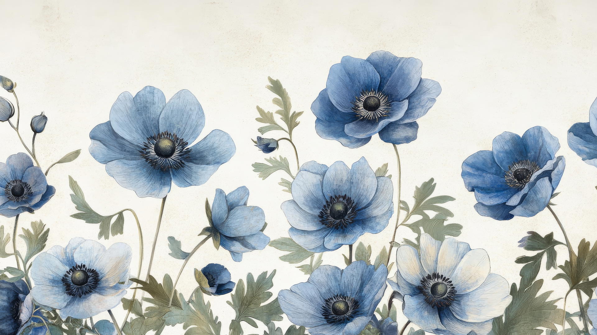 blue flower wallpaper with vintage botanical illustration of blue anemone flowers on parchment background