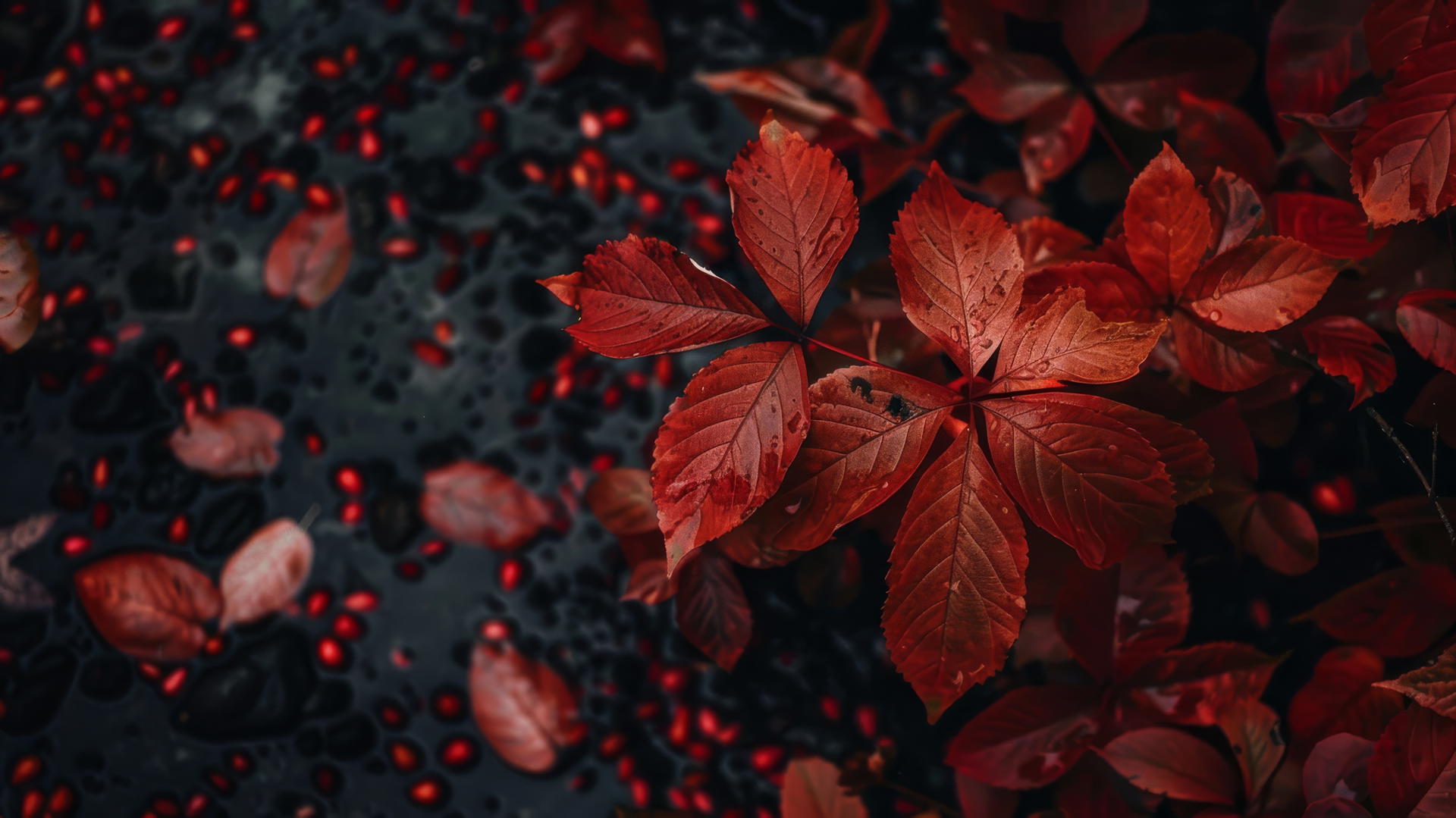 Aesthetic autumn background with vibrant fall colors in 4K resolution