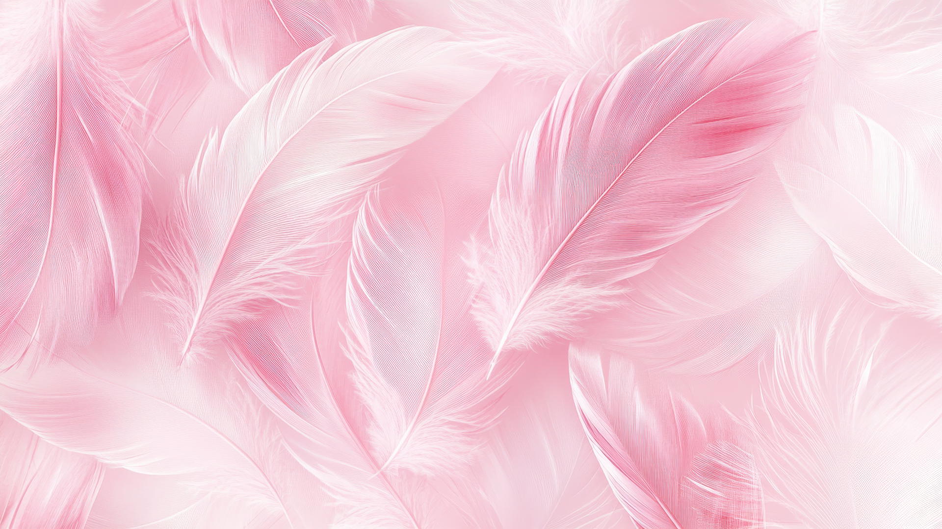 light pink wallpaper with delicate hand-drawn feathers on pastel background