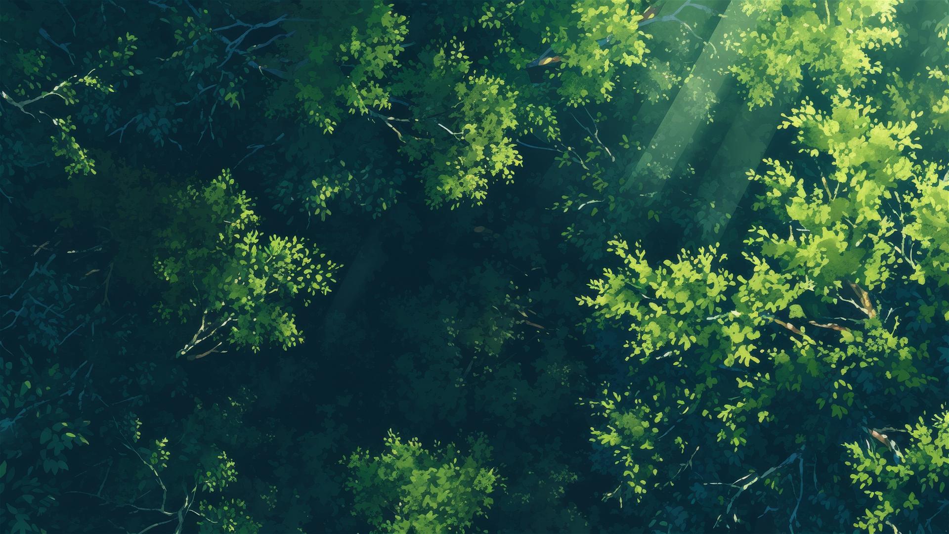 Aerial view of rainforest canopy with sunbeams piercing through dense foliage