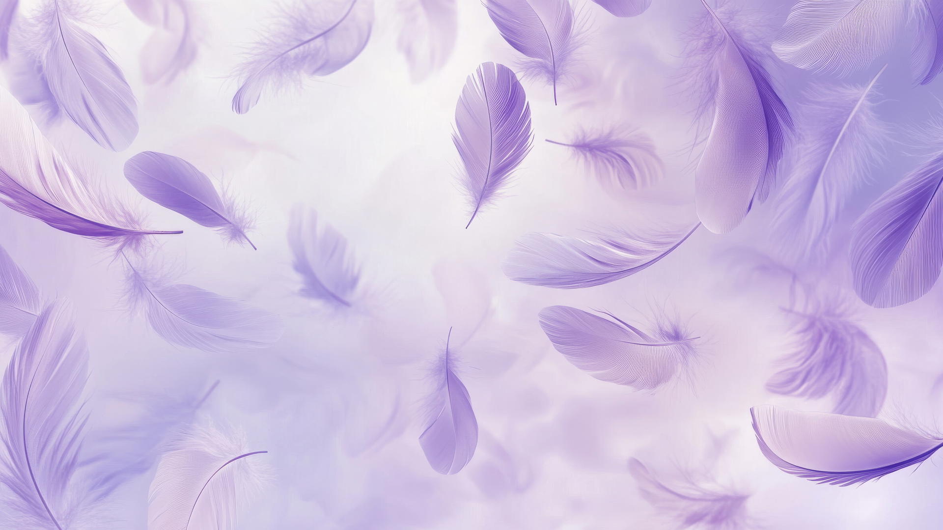 light purple wallpaper with floating feathers on a lavender background
