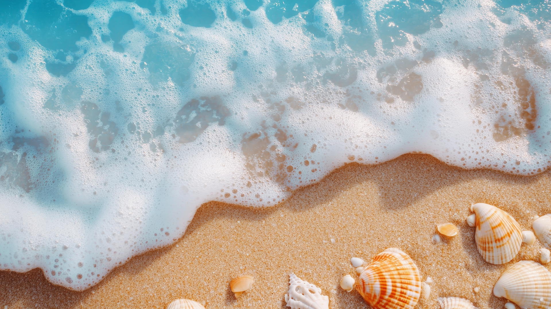 beach aesthetic wallpaper with golden sand, blue waters, seashells, and driftwood