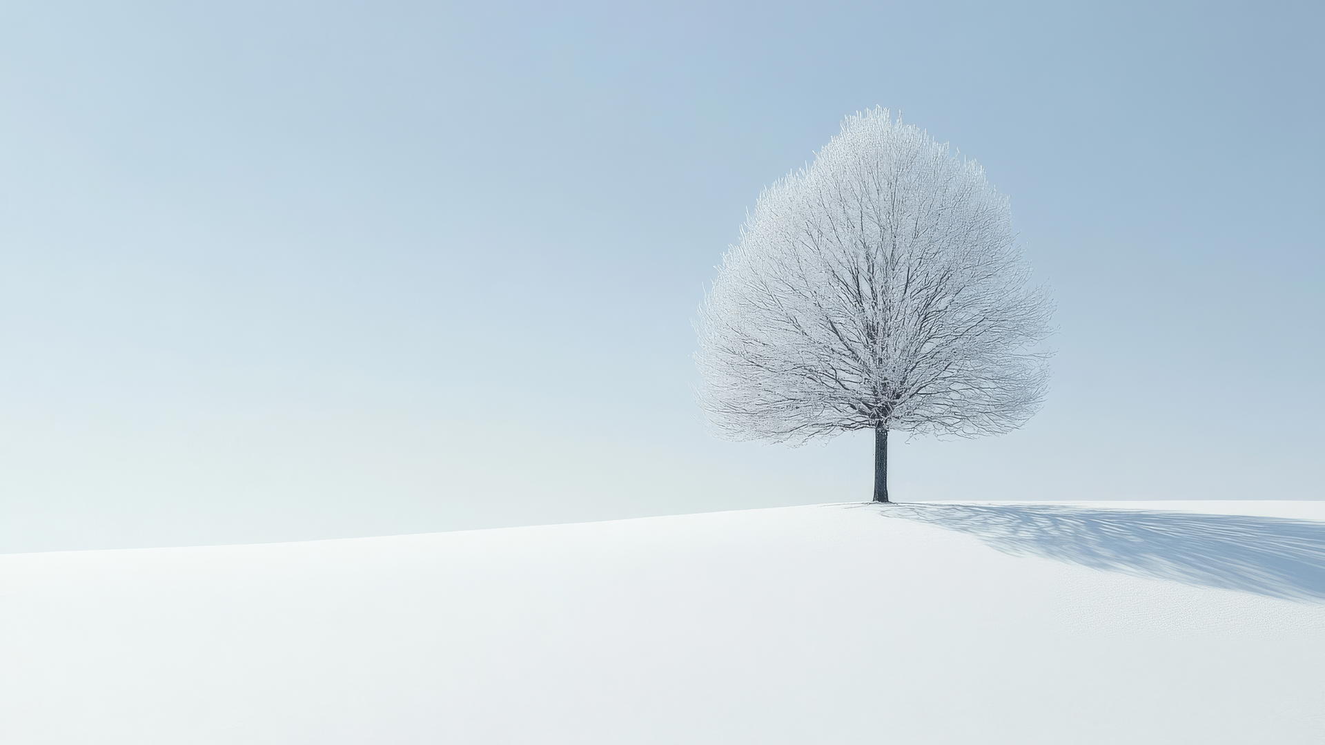 Serene winter wallpaper aesthetic with a snow-covered tree in an open field