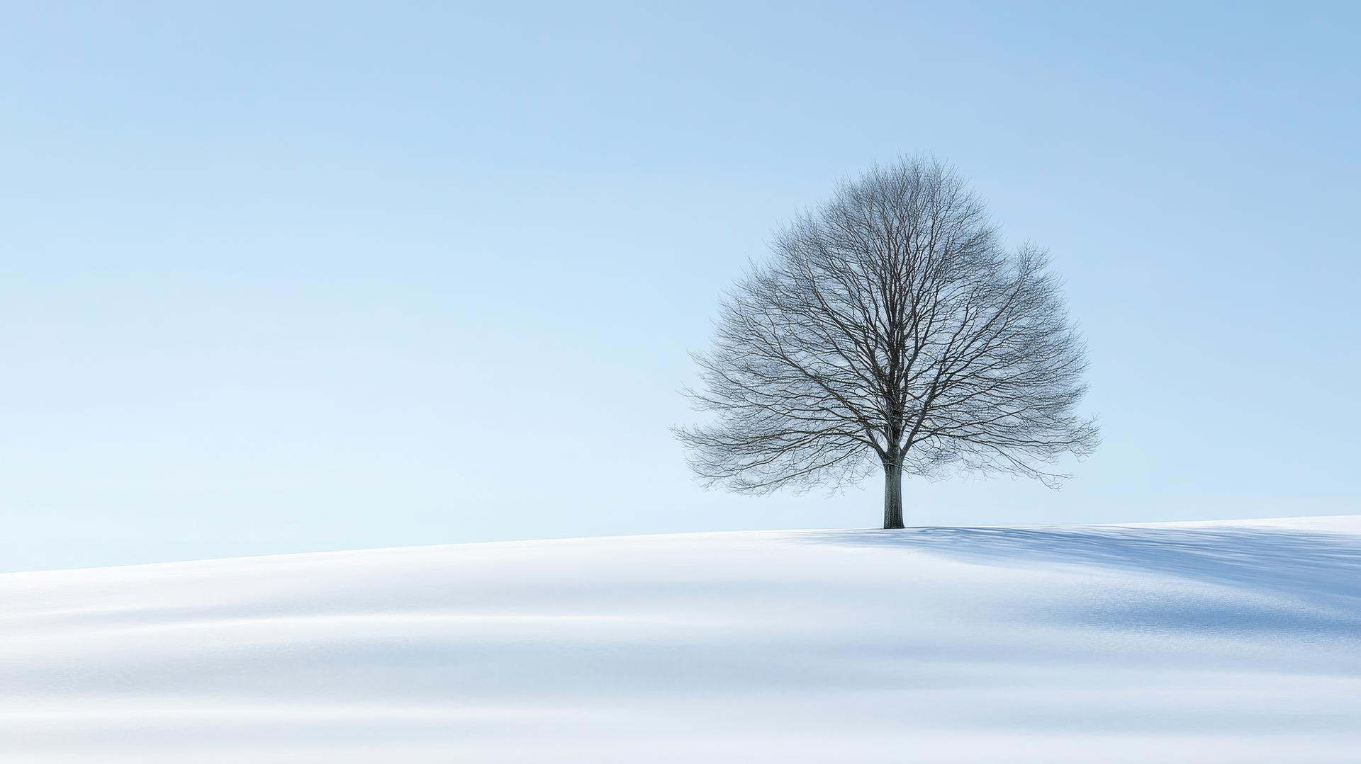 winter wallpaper aesthetic with a snow-covered tree in an open field under a pale blue sky