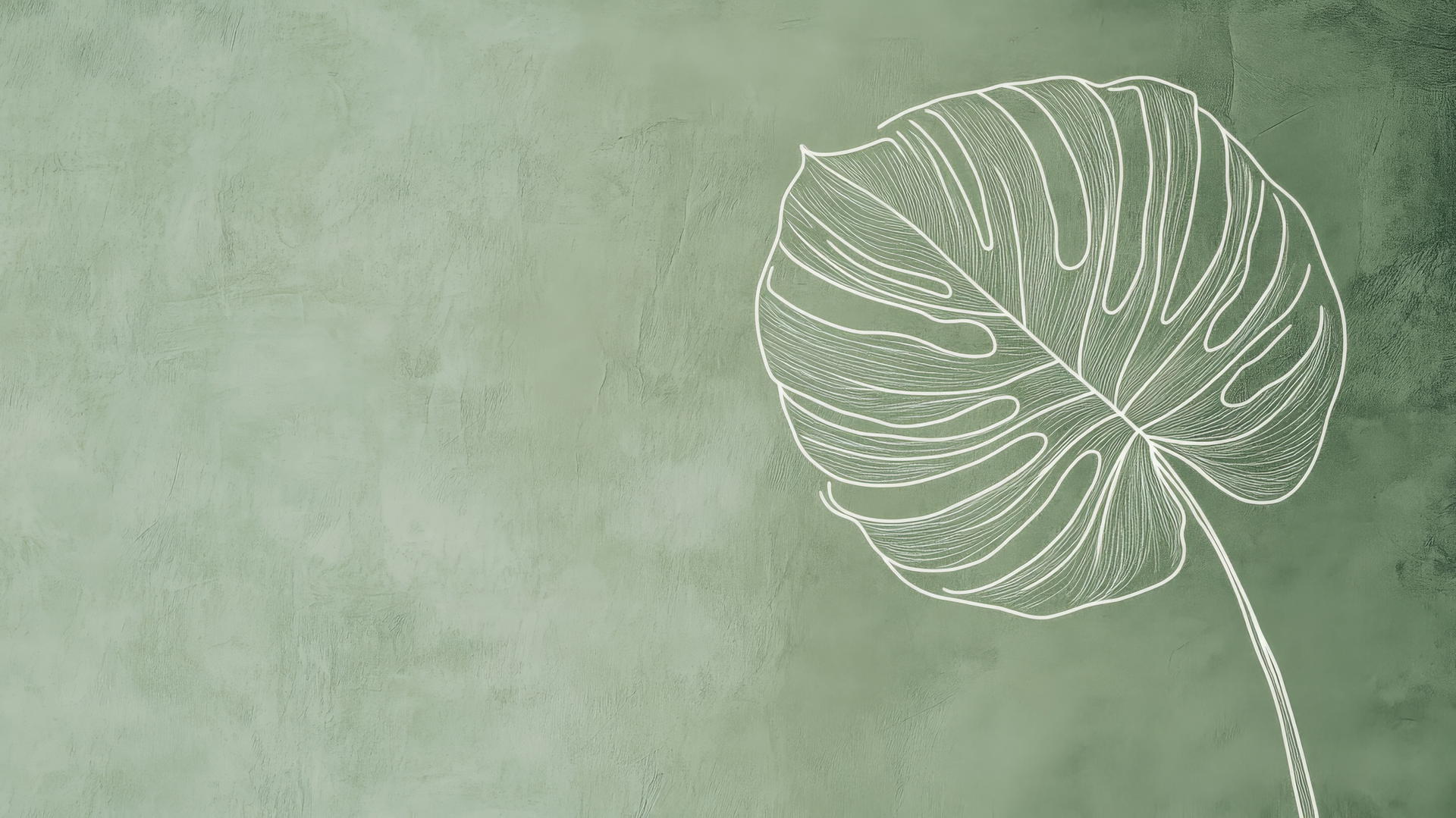 aesthetic green wallpaper with a white-outlined monstera leaf on pale green background