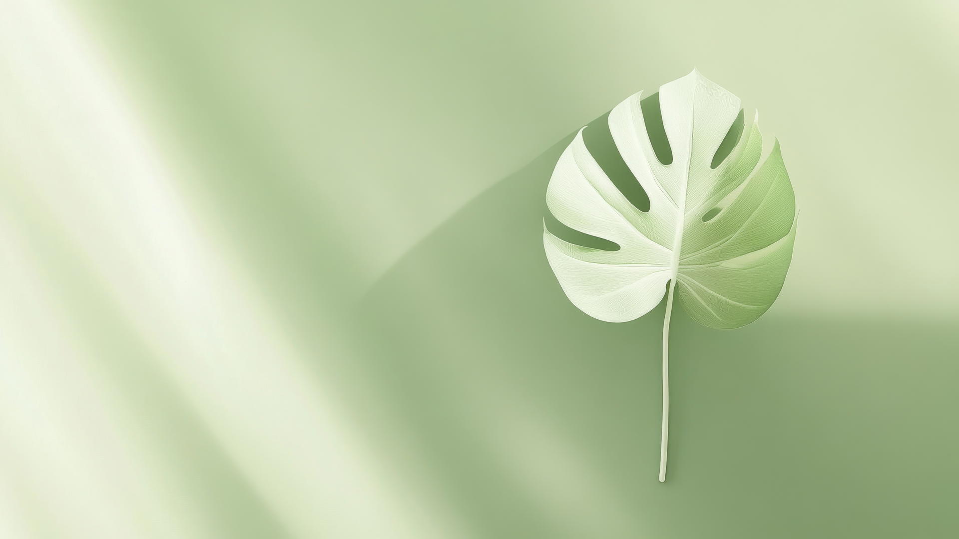 Minimalist light green wallpaper with a white monstera leaf silhouette.