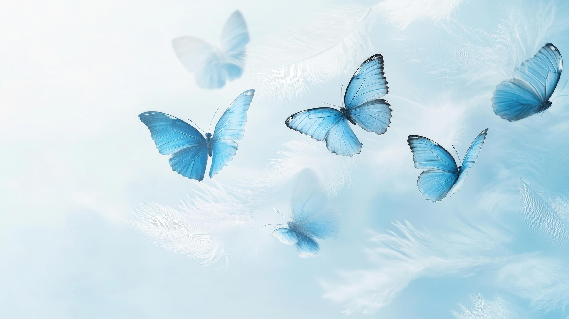 blue butterfly wallpaper with white feathers on a light blue background