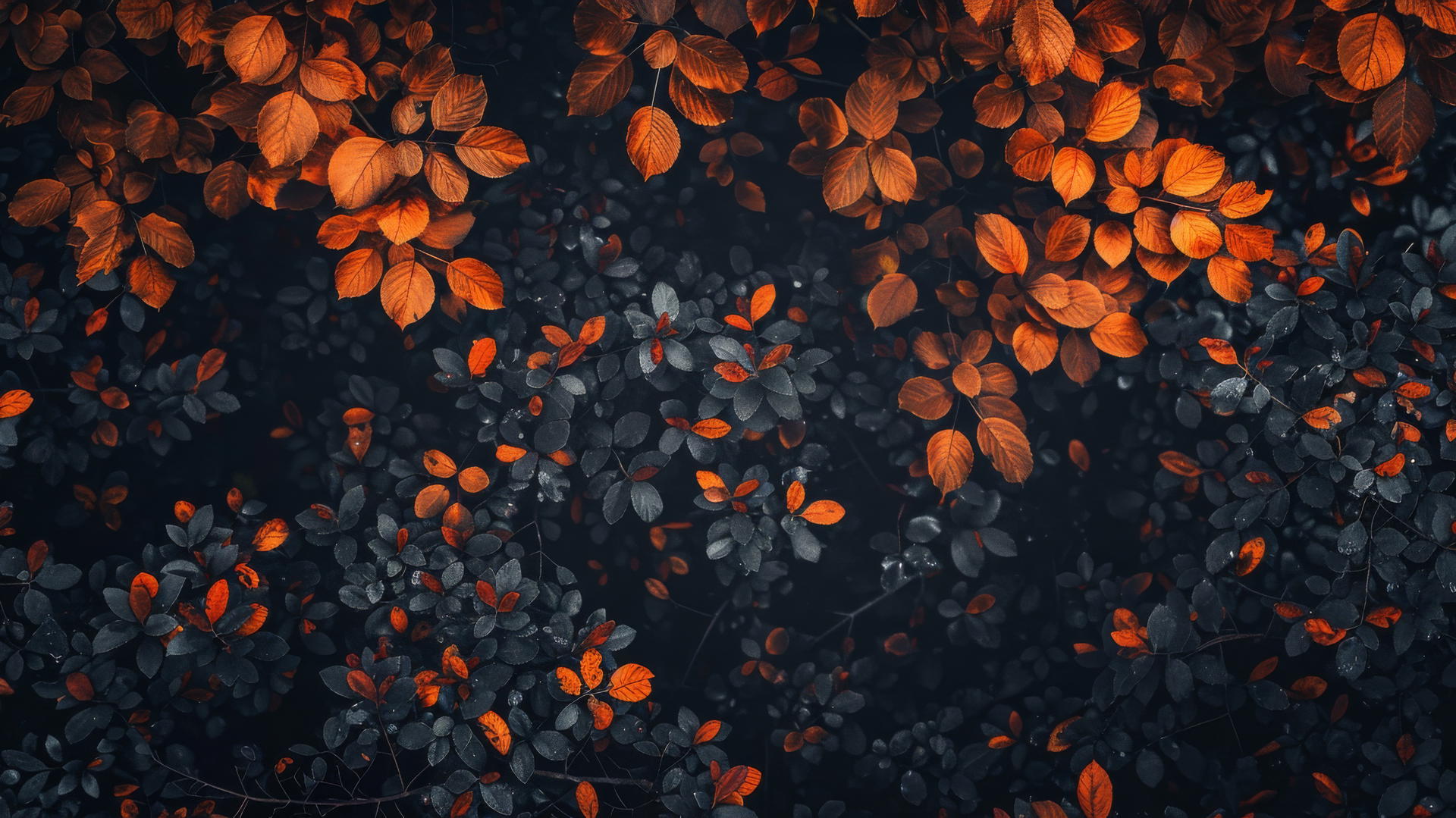Aesthetic Autumn background with vibrant colors