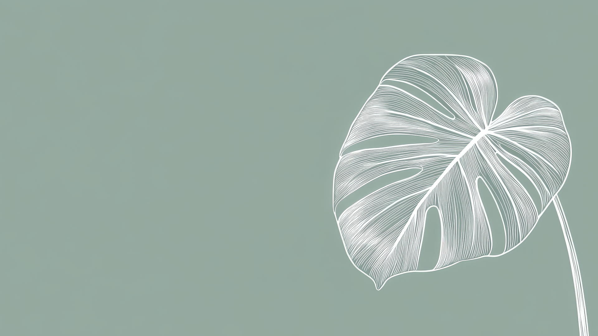 sage green aesthetic wallpaper with white monstera leaf line art