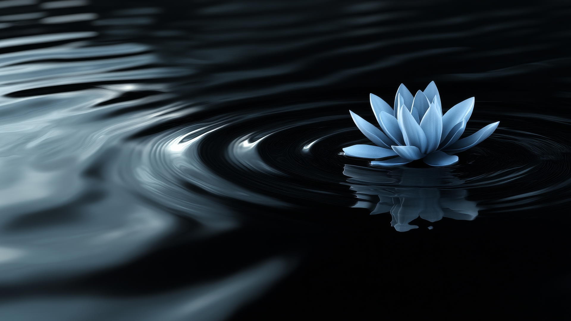 black and blue wallpaper with a single blue lotus flower on calm black water