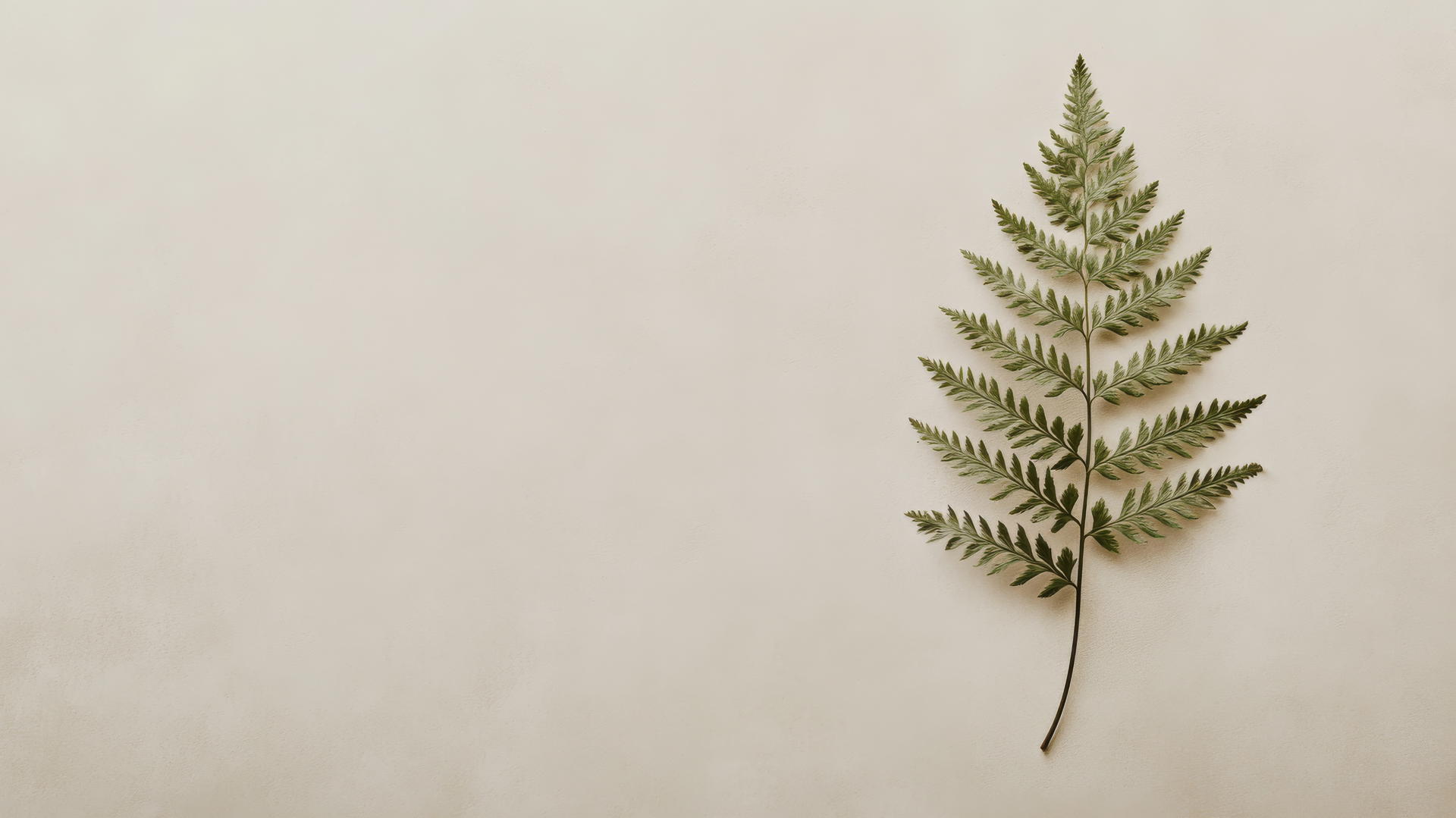 nature aesthetic wallpaper with a delicate fern leaf on a neutral background