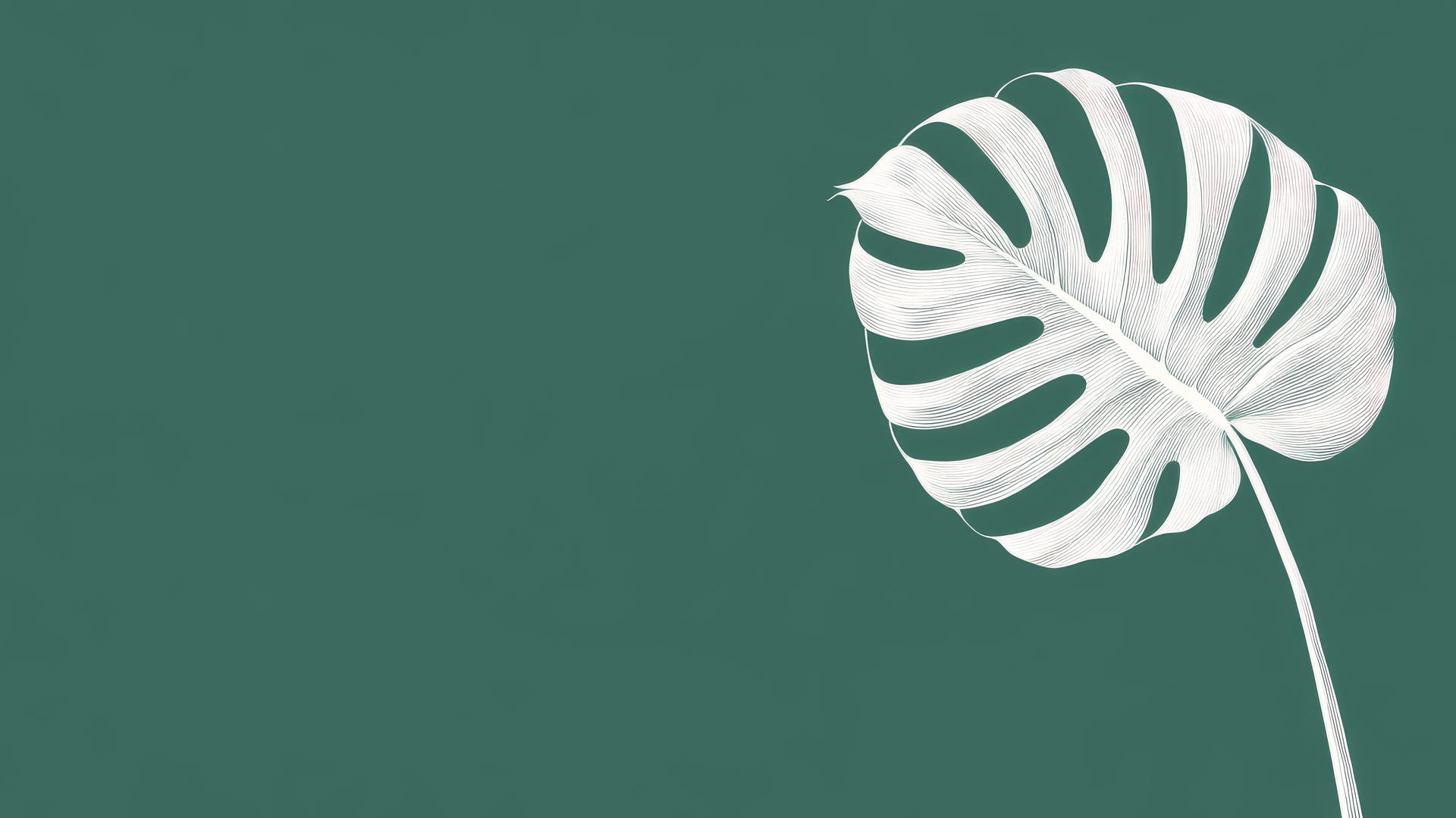 emerald green wallpaper with a white monstera leaf silhouette on solid emerald background