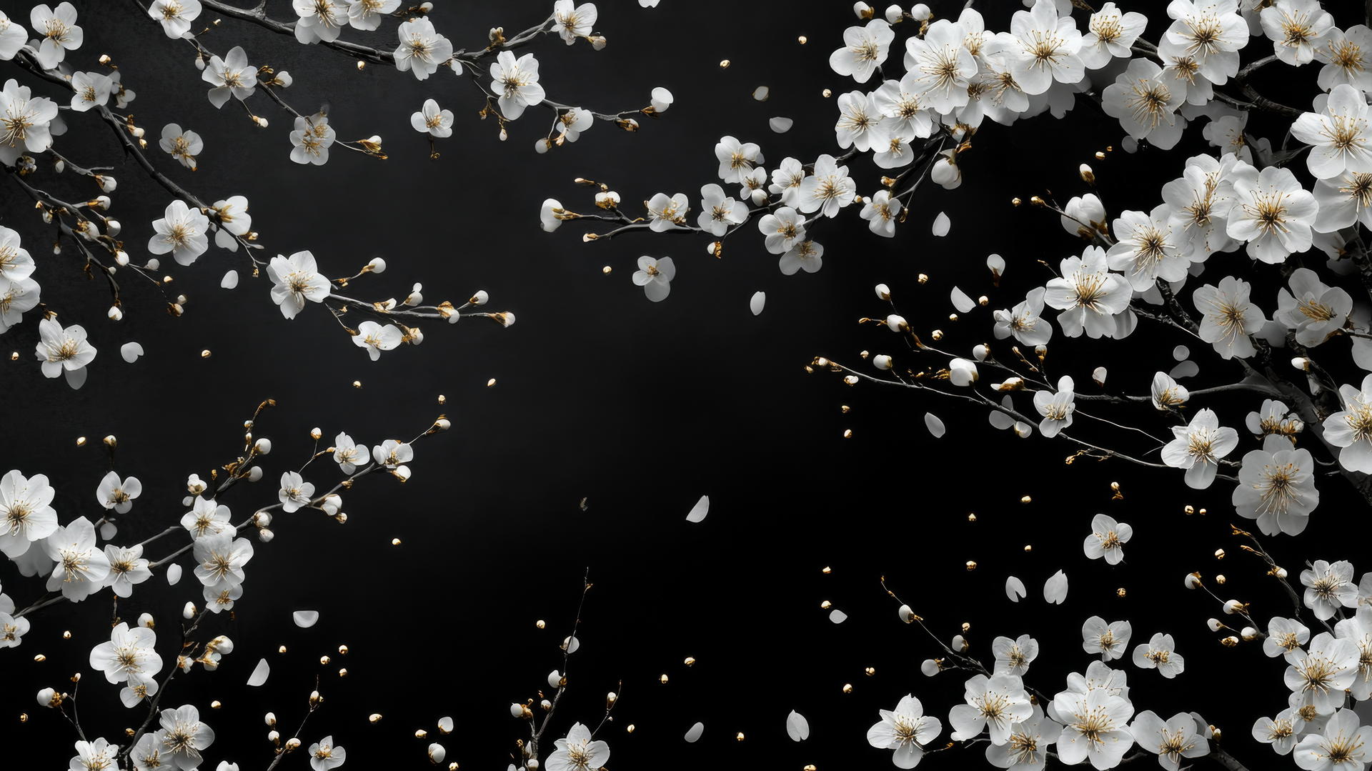 black and white floral wallpaper with cherry blossoms on thin branches