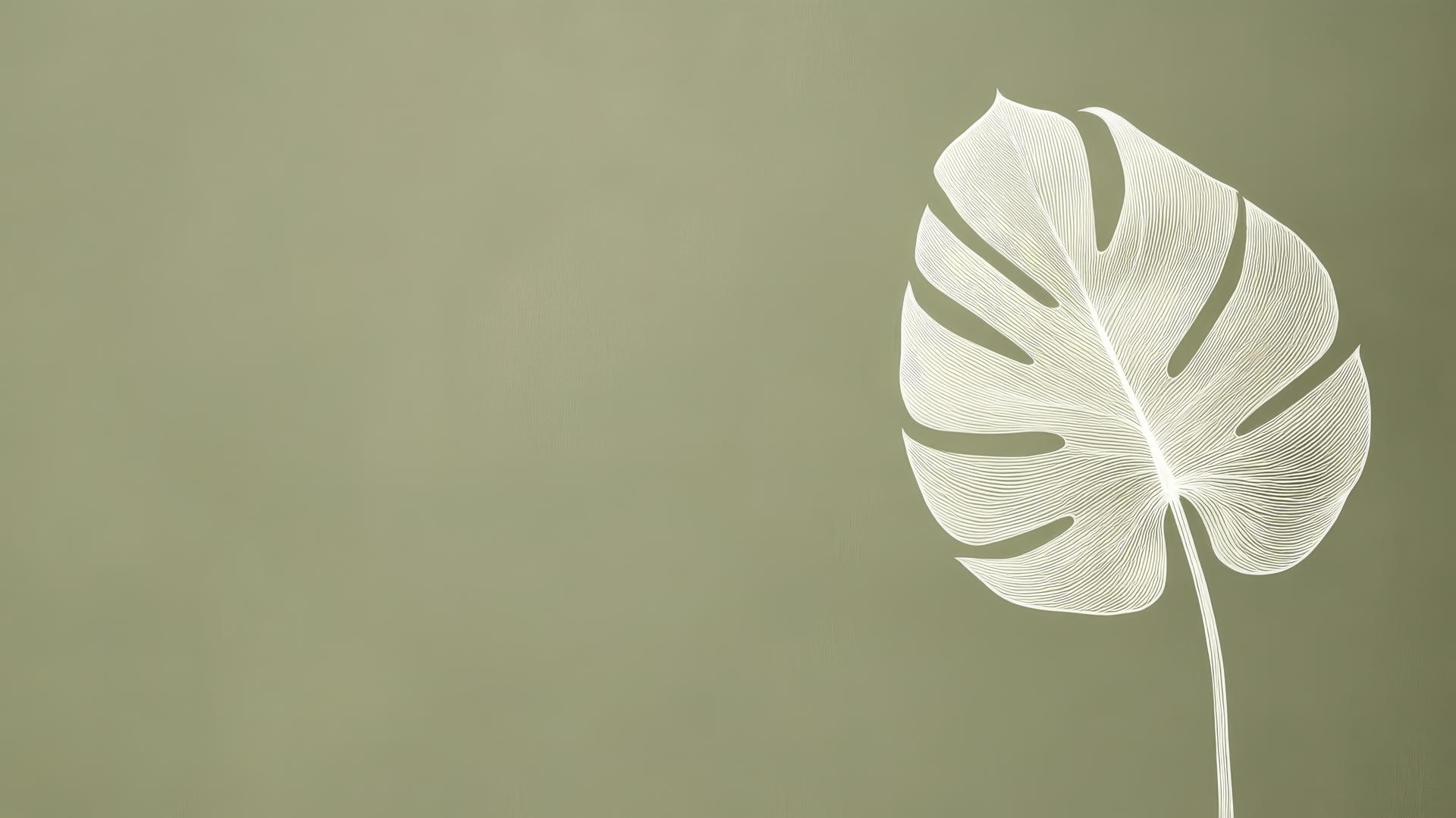 olive green wallpaper with a large white monstera leaf silhouette