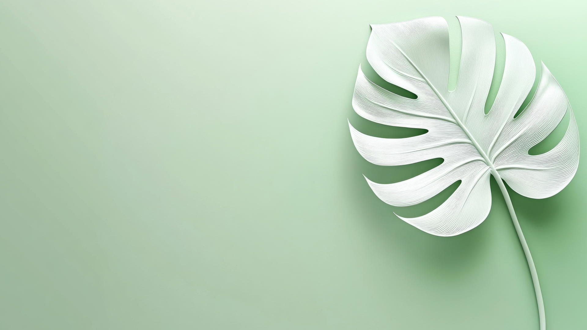 Minimalist light green wallpaper with white monstera leaf silhouette
