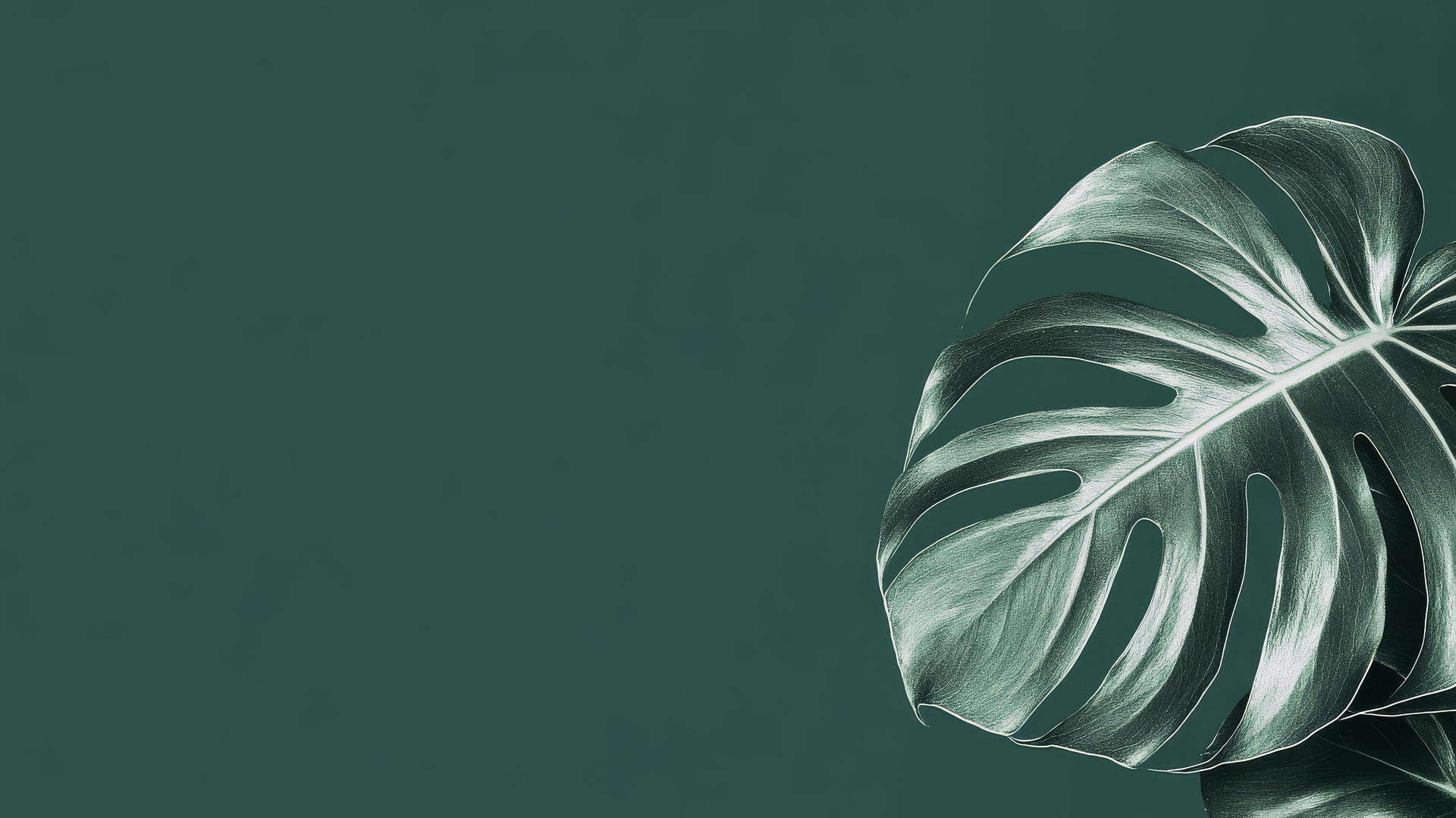 A modern emerald green wallpaper with a white monstera leaf silhouette.