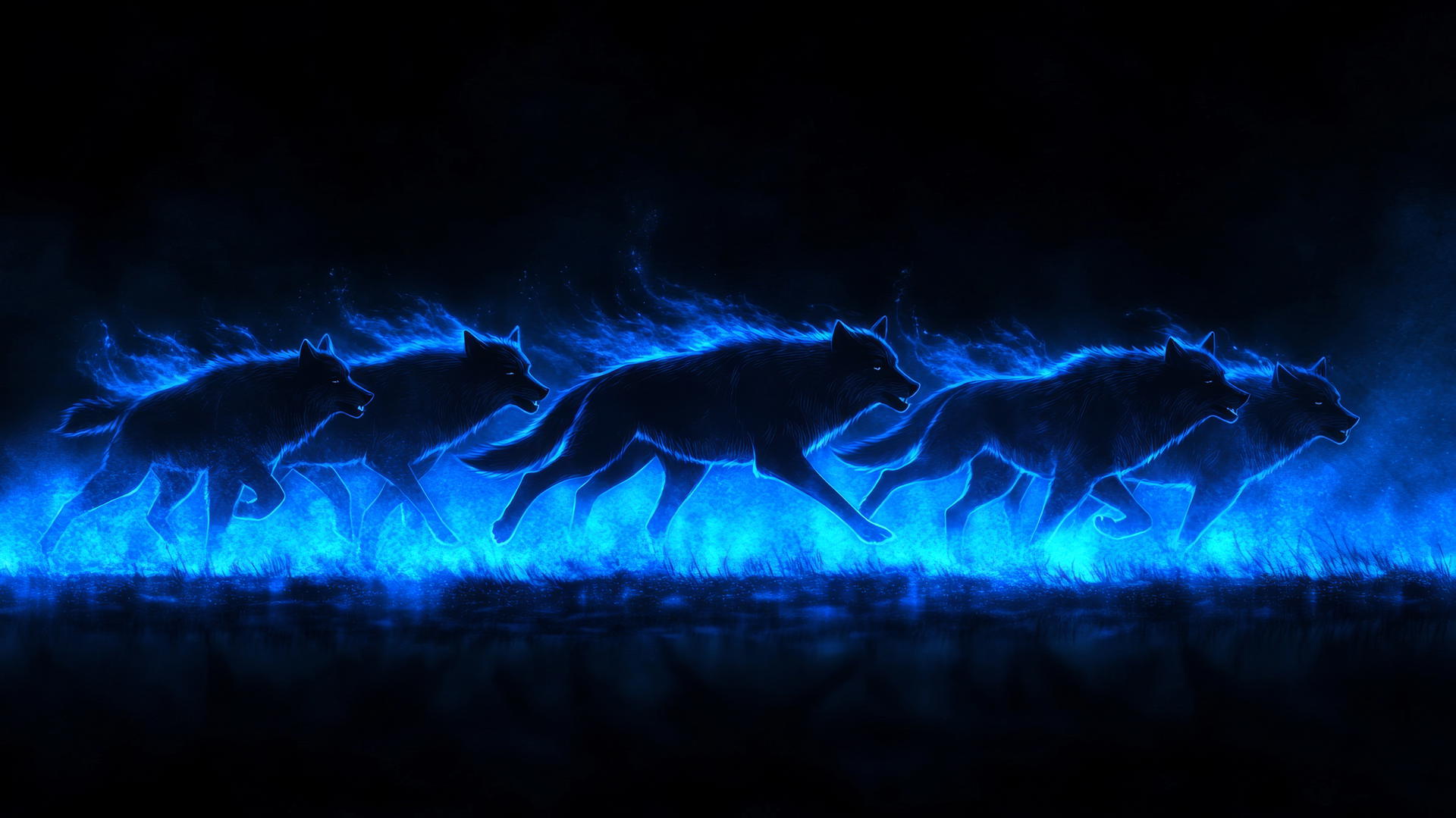 silhouette of wolves running with neon light at night