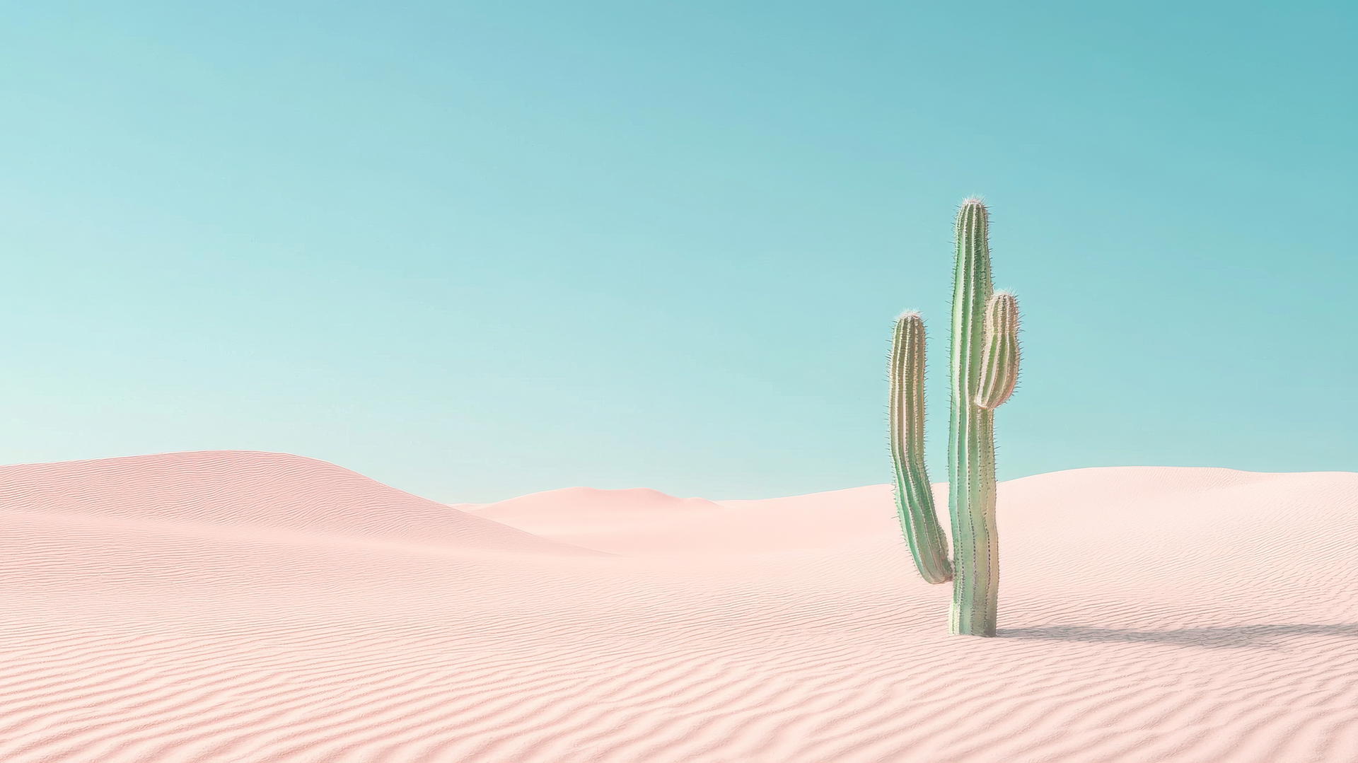 nature aesthetic wallpaper with soft sand dunes, pale blue sky, and a single cactus