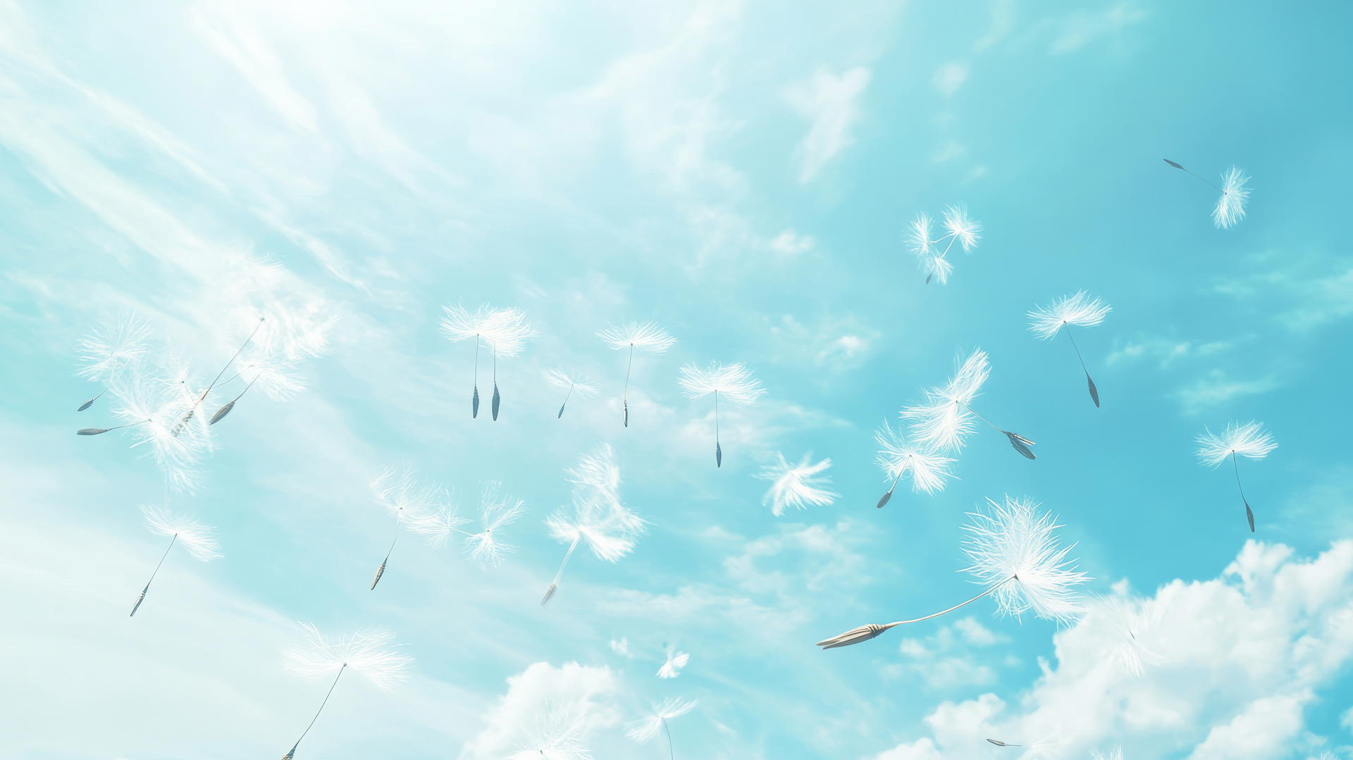 dandelion seeds blowing in wind against light blue wallpaper