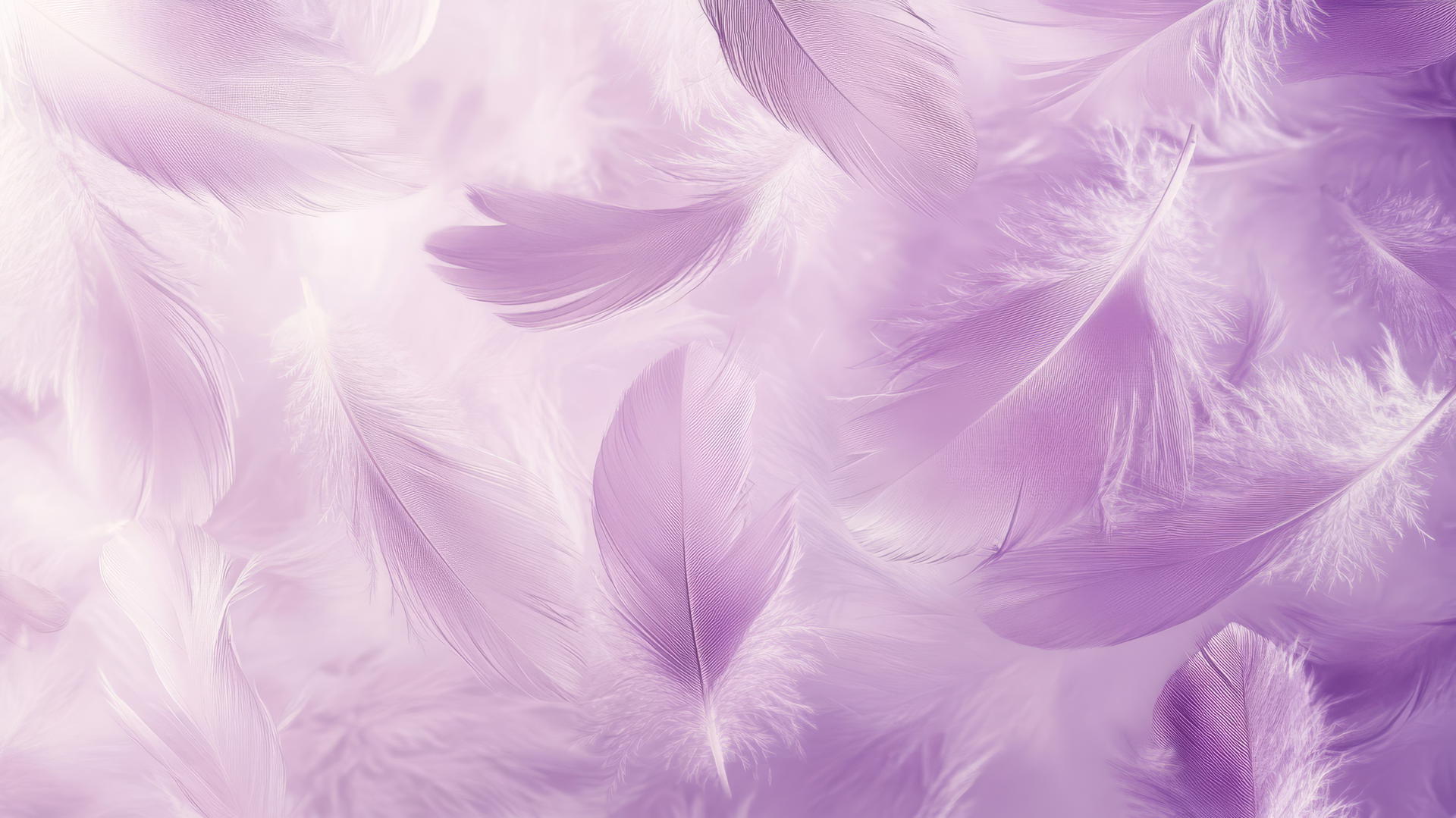 light purple wallpaper with floating light purple feathers on lavender background