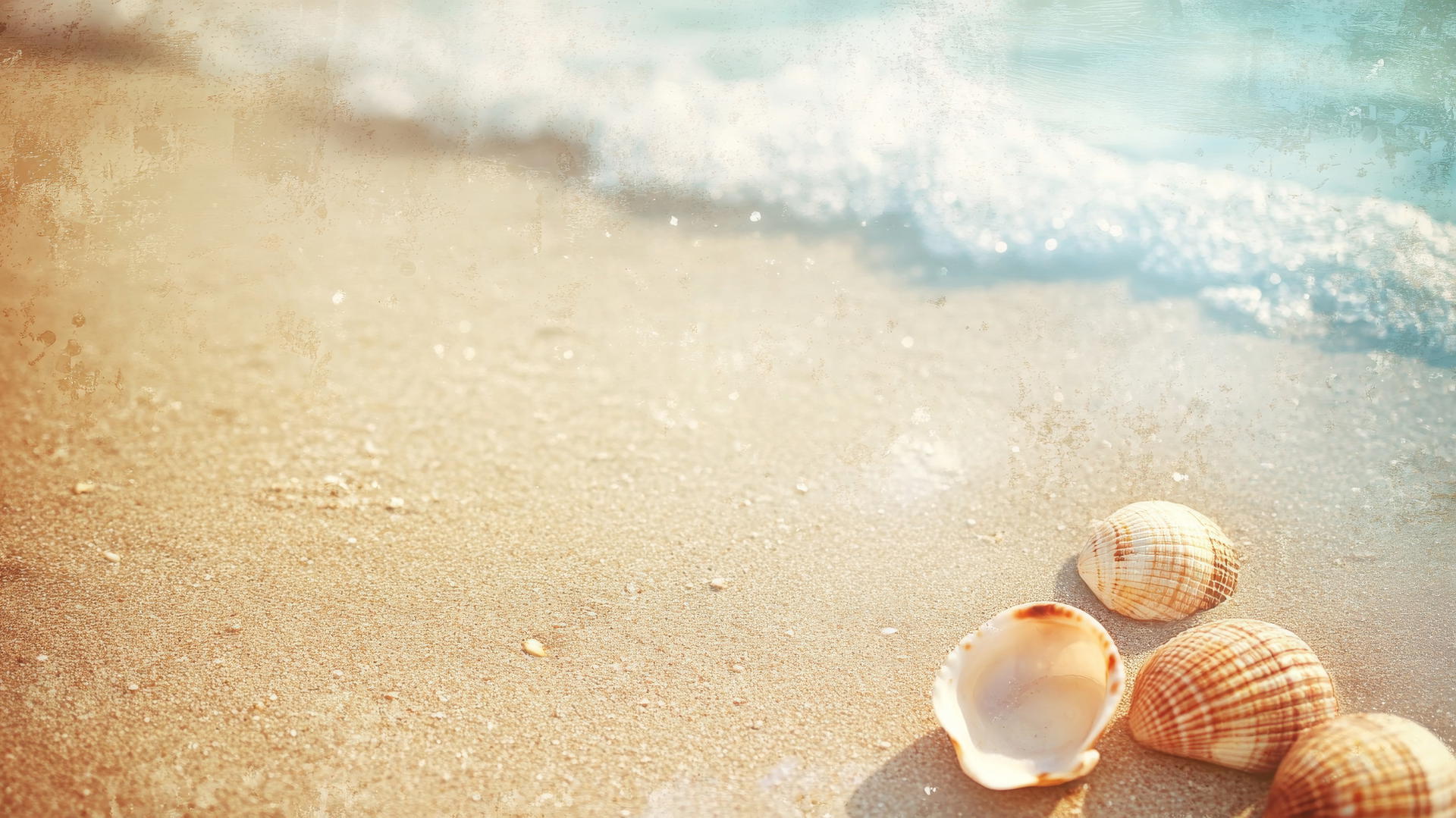 vintage beach scene with muted colors and faded seashells, beach wallpaper aesthetic