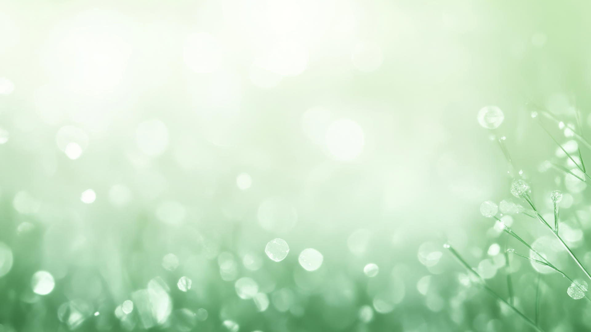 Light green wallpaper with a mint to white gradient and subtle bokeh effects